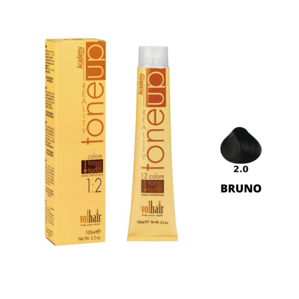 TONE UP TONO SU TONO ACADEMY  2/0 BRUNO 100ML