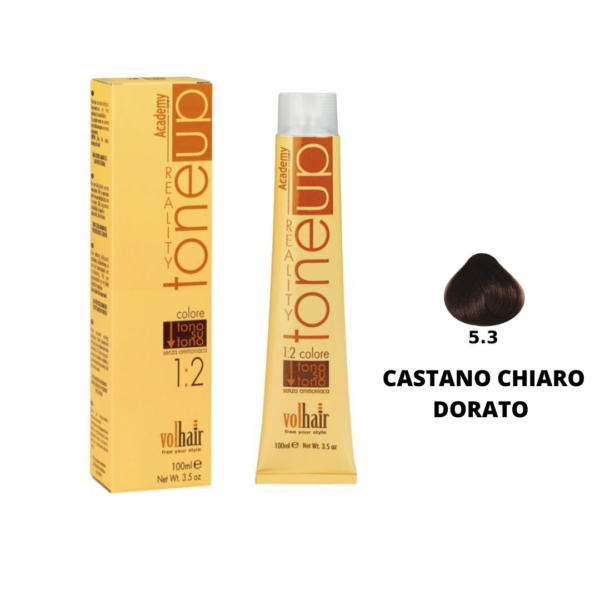 TONE UP TONO SU TONO ACADEMY  5/3 CASTANO CHIARO DORATO 100ML