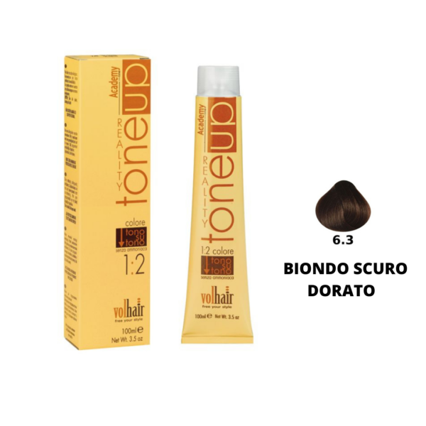 TONE UP TONO SU TONO ACADEMY  6/3 BIONDO SCURO DORATO 100ML