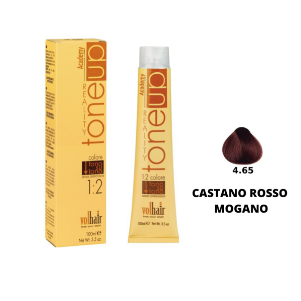 TONE UP TONO SU TONO ACADEMY  4/65 CASTANO ROSSO MOGANO 100ML