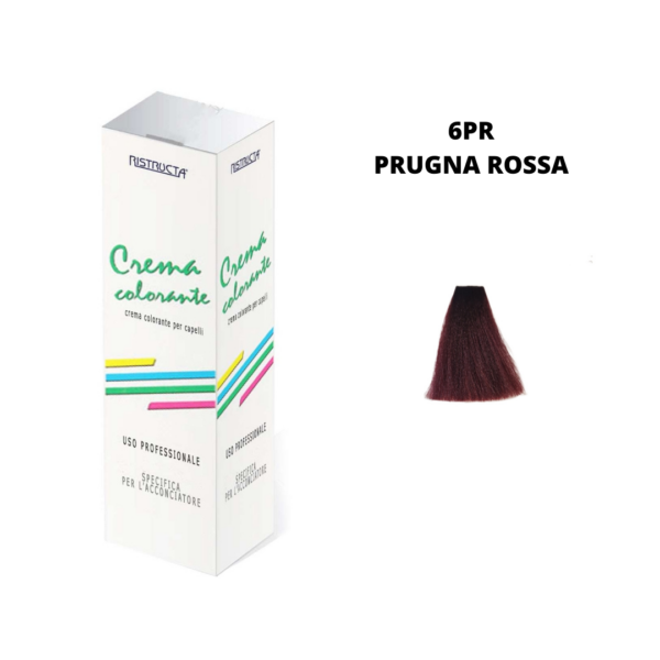 TINTA RISTRUCTA TUBO 100 ML. N 6PR PRUGNA ROSSA